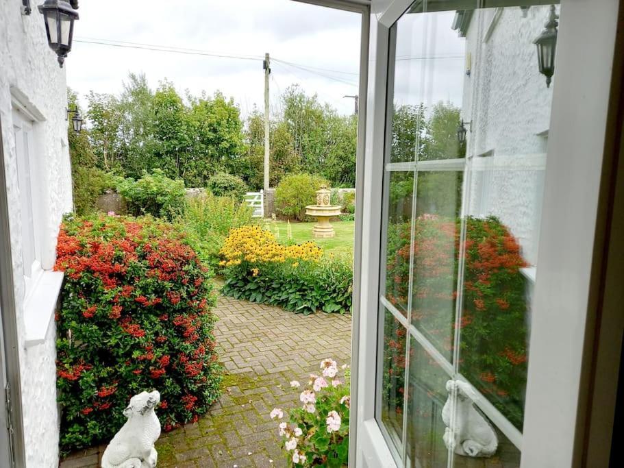 Rhos Y Bel Cottage Angelsey Llangadwaladr  Exterior photo